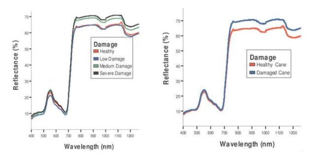 1668581791135729.png 圖片3.png