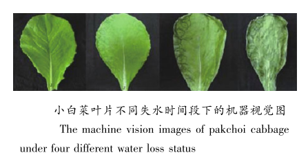 1705563080967725.png image.png