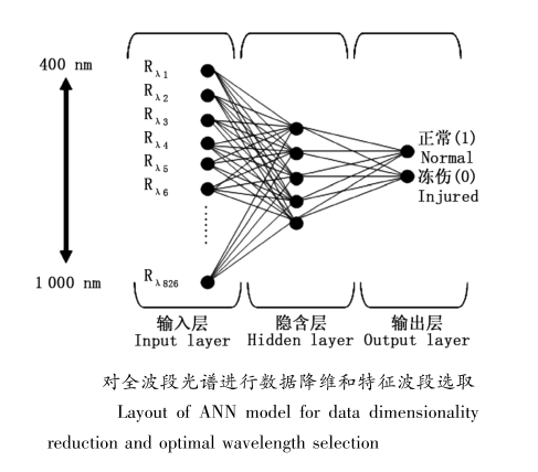 1705563107199983.png image.png