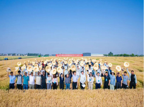 1716952236120691.png image.png