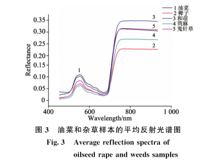 1720680113103283.png image.png